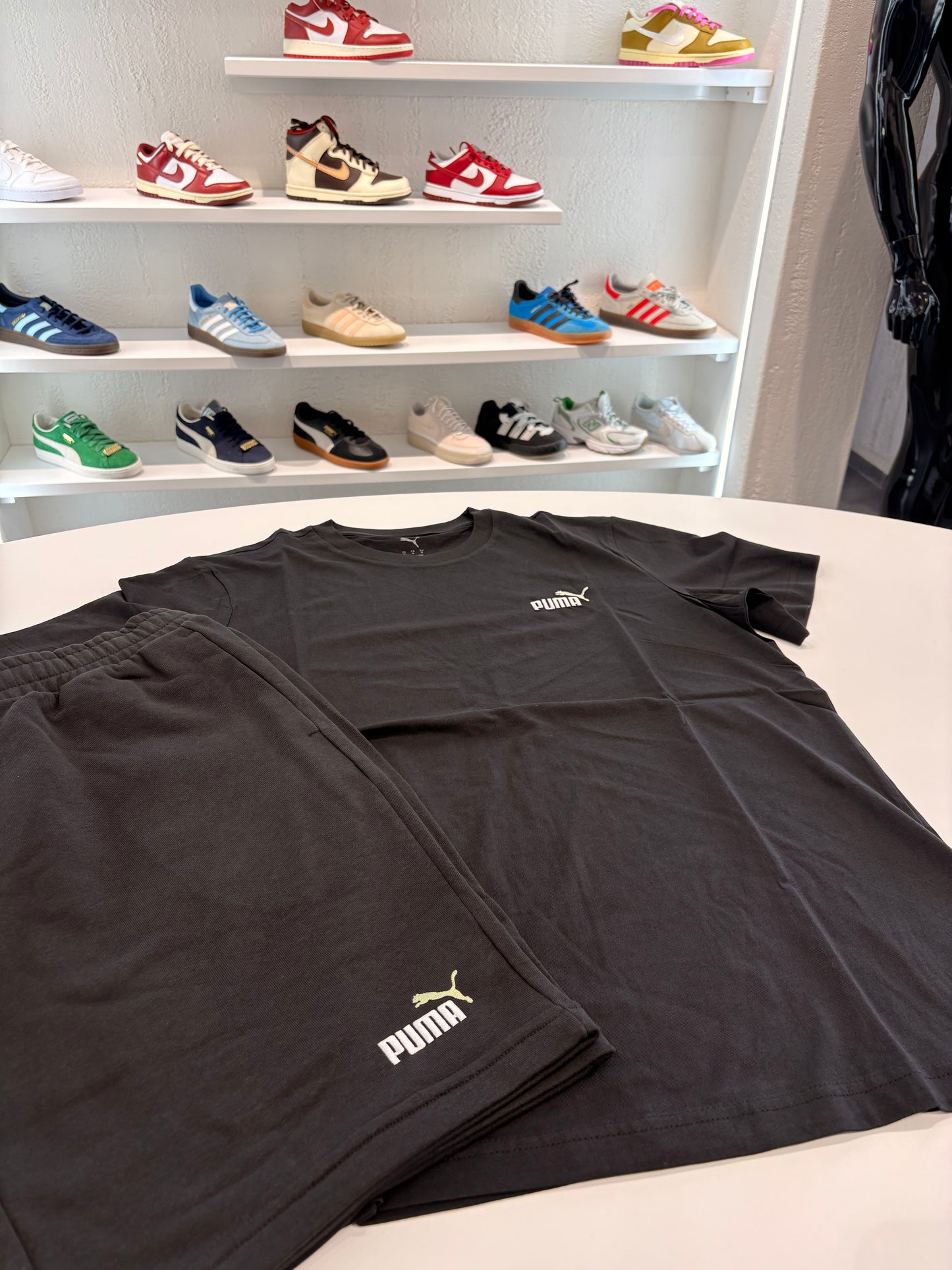 Completino Puma 2 logo small