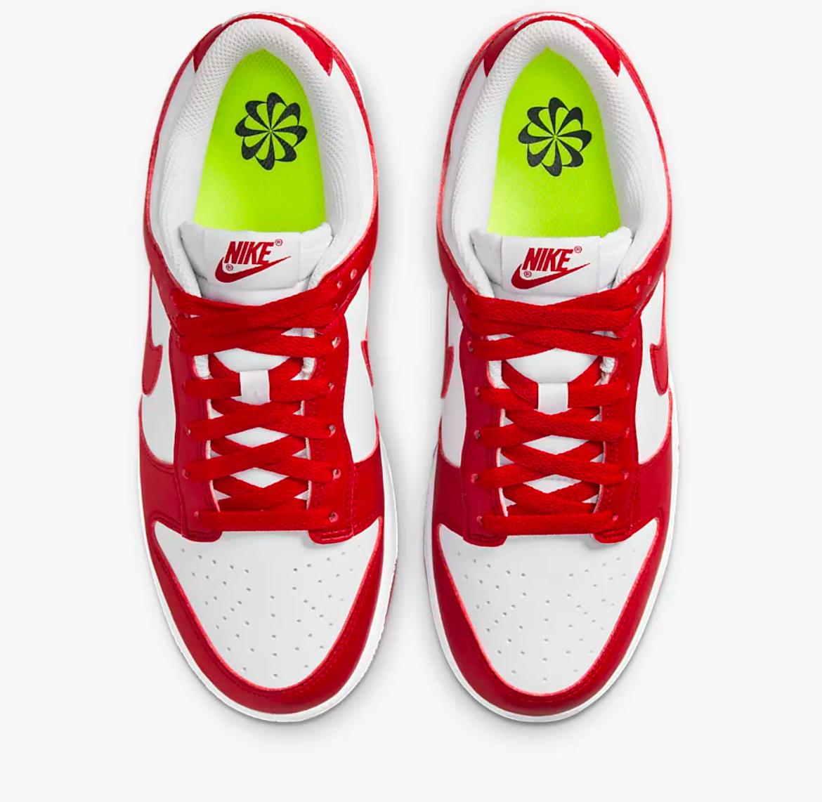 NIKE DUNK LOW NEXT NATURE