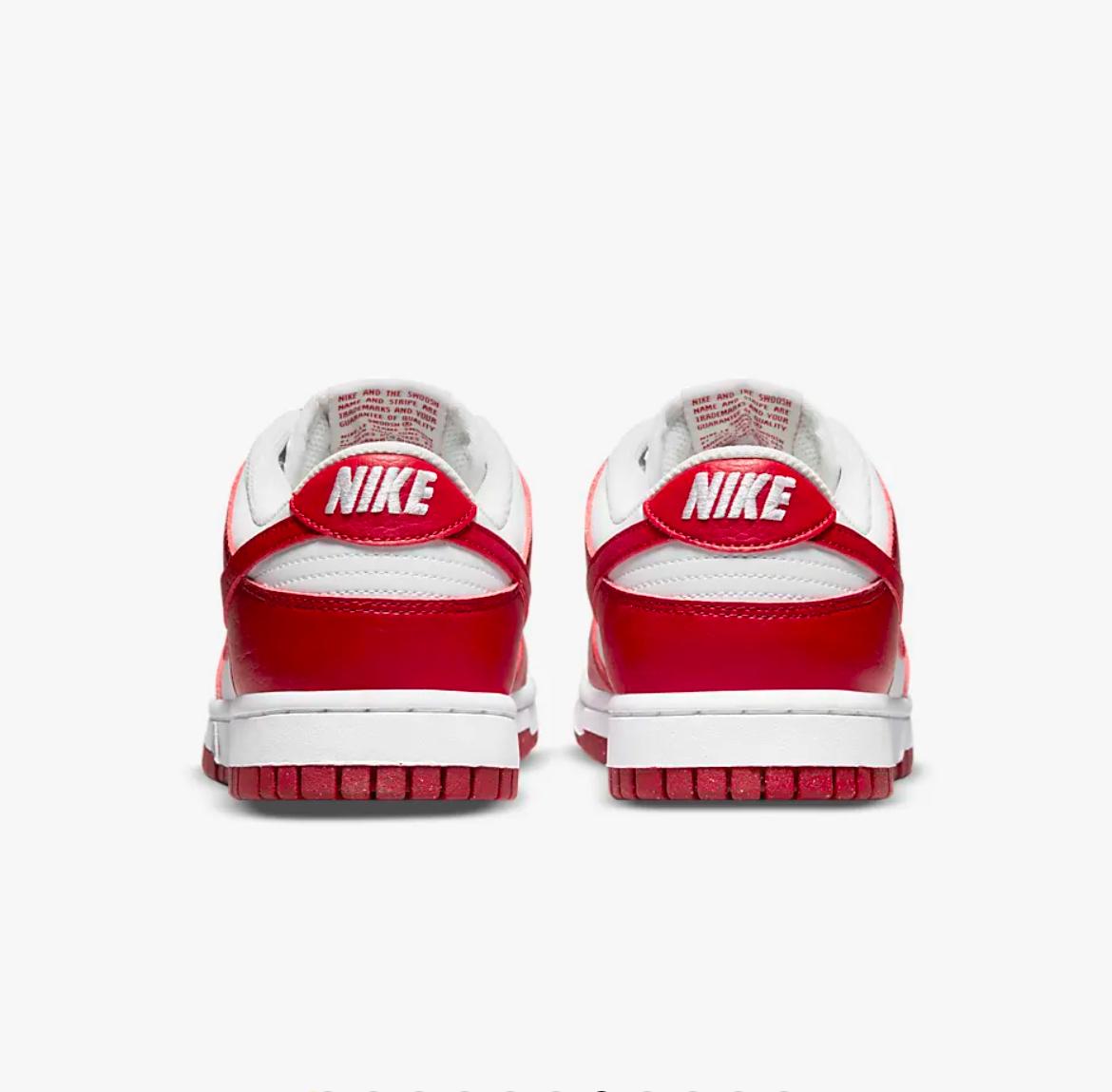 NIKE DUNK LOW NEXT NATURE